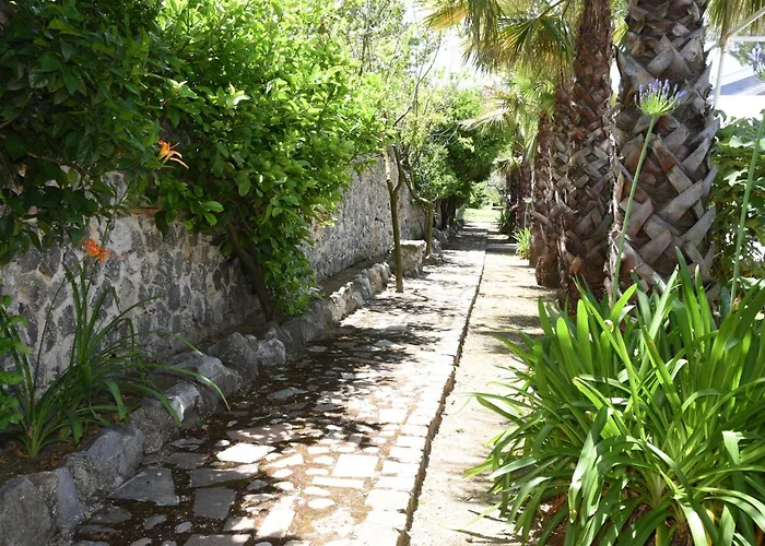 Tenuta Oliva